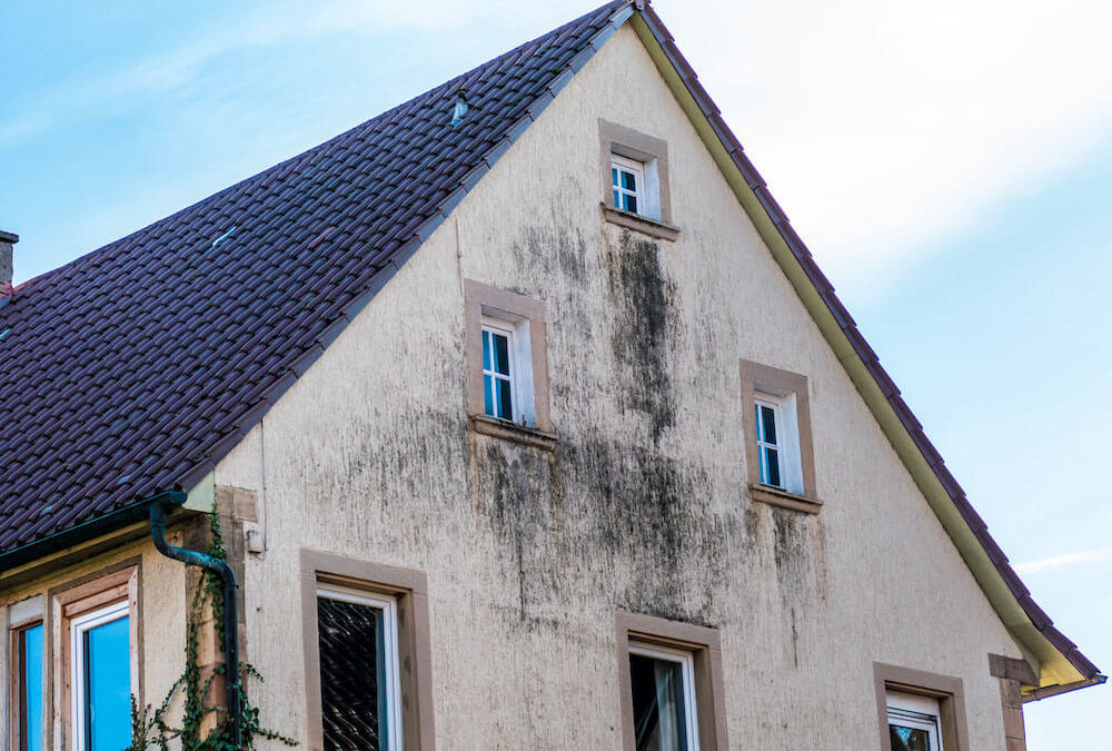 Comment reconnaître et traiter les problèmes d’humidité de vos façades ?