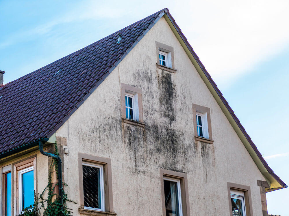 Traiter l’humidité des murs avec la solution Assech’mur